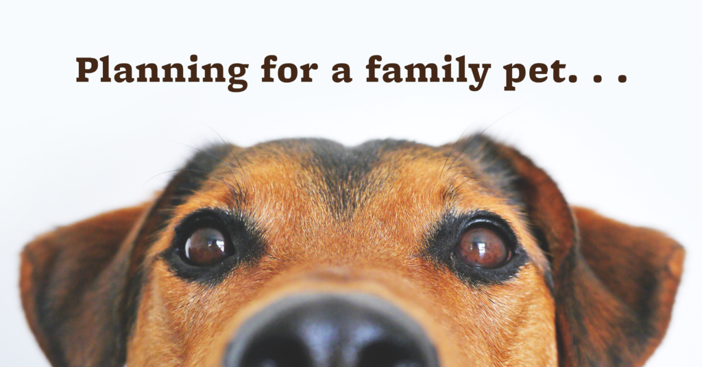 planning for a family pet